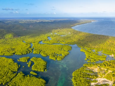 Anavilhanas Archipelago